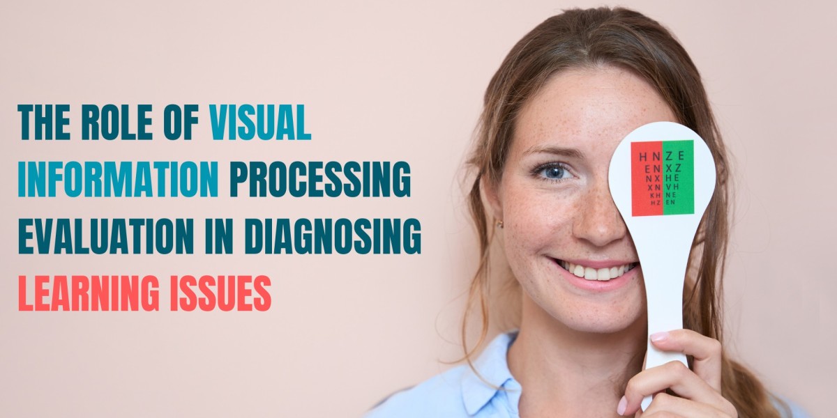 The Role of Visual Information Processing Evaluation in Diagnosing Learning Issues