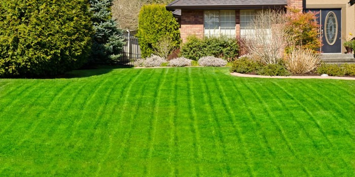 Enhancing Your Landscape with Franklin Tree Cutting Services
