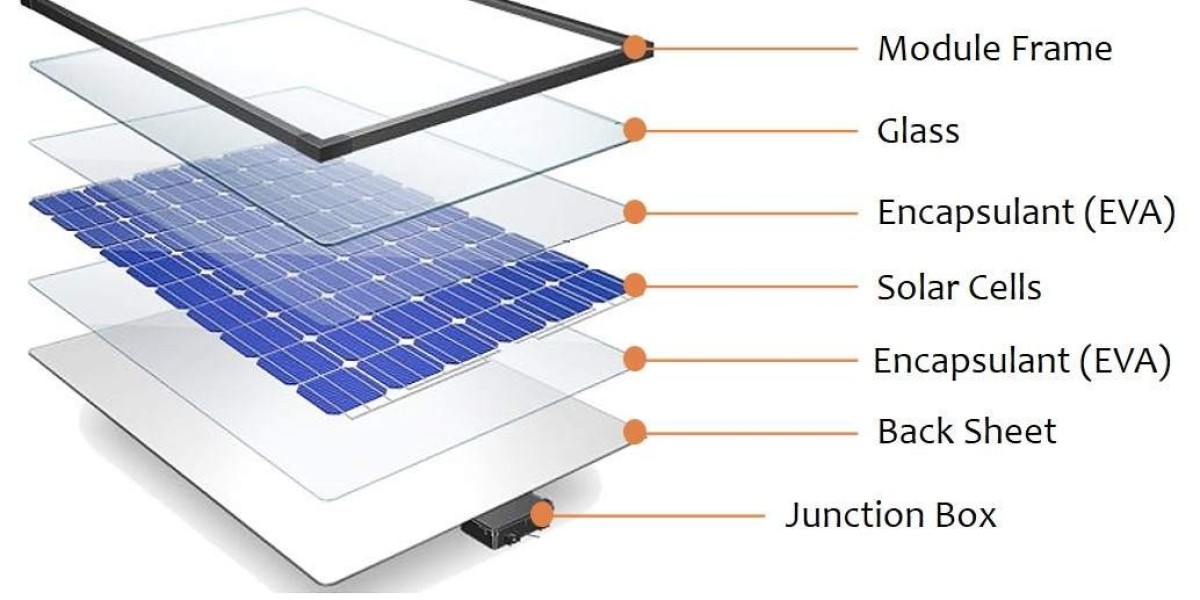 Solar Energy's Rise Spurs PV Module Market Growth to $341.8 Billion by 2031