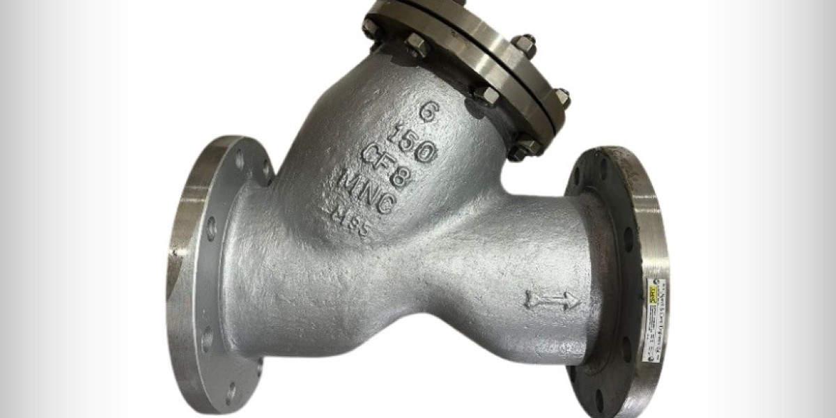 Strainers Valve manufacturer in India