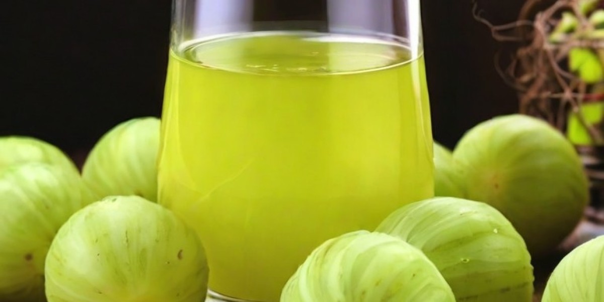 Amla Juice Manufacturing Plant Project Report 2024: Industry Trends, Unit Setup and Machinery