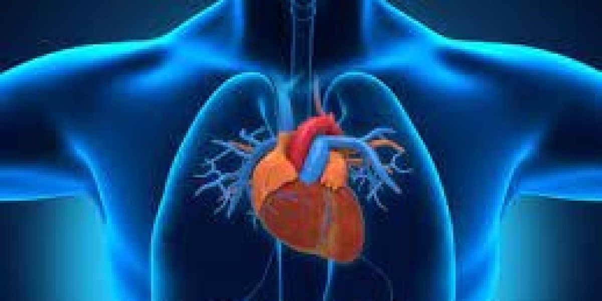 Understanding Interventional Cardiology in New Delhi