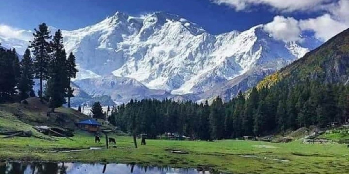 Nanga Parbat Fairy Meadows Trek: A Journey to Pakistan’s Alpine Paradise