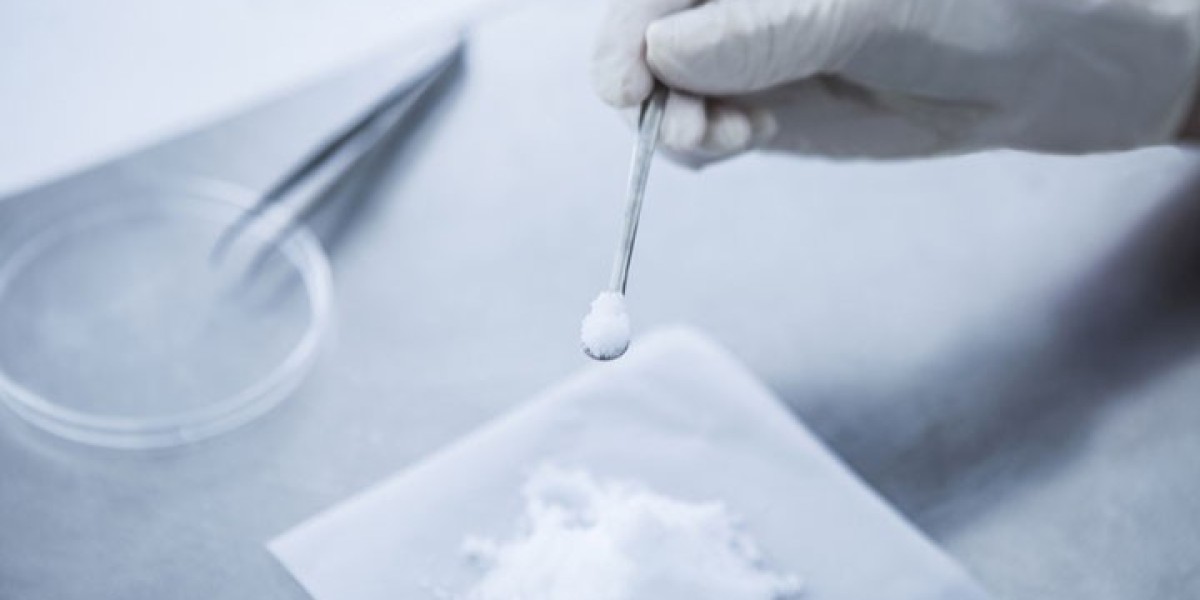 Long Chain Dicarboxylic Acid Market 2024: Size, Trends, Growth and Forecast to 2032