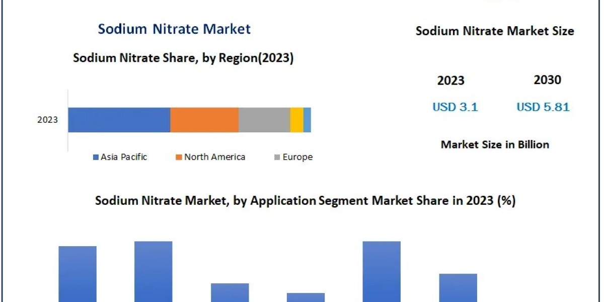 Sodium Nitrate Market Industry Triumphs: Size, Growth Factors, and Forecast 2030