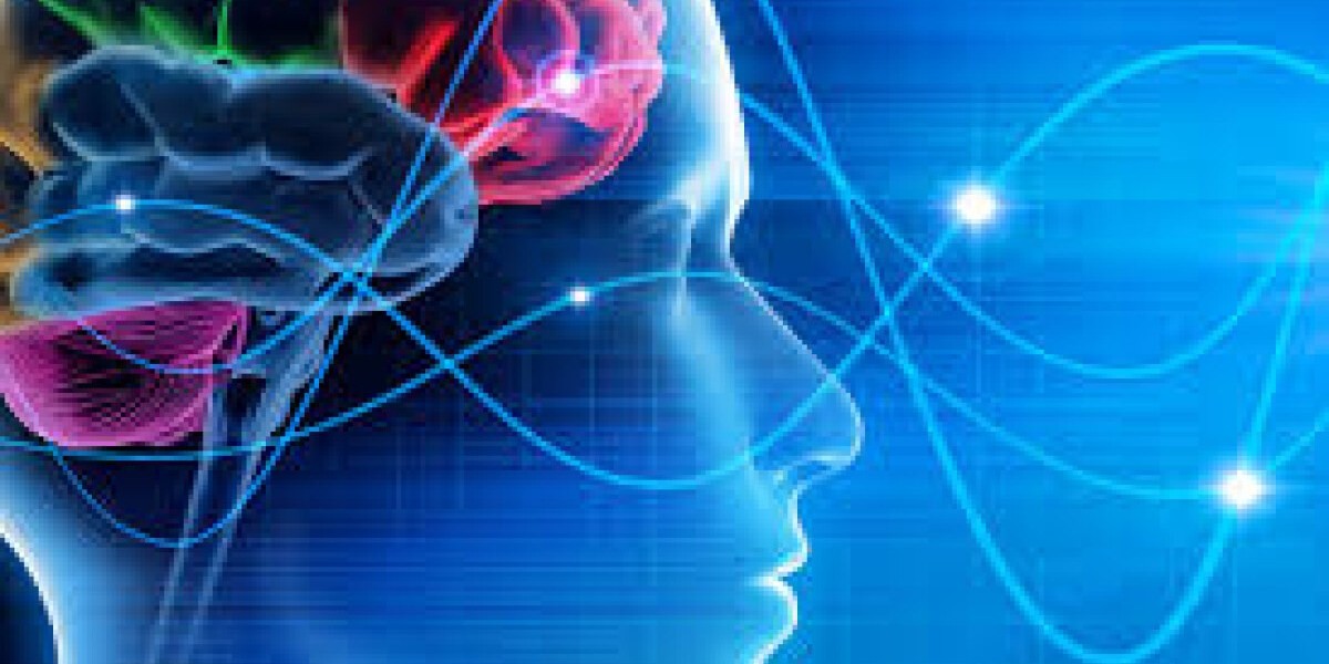 Neurodiagnostics Market Size, Share, Trends And Forecast To 2032