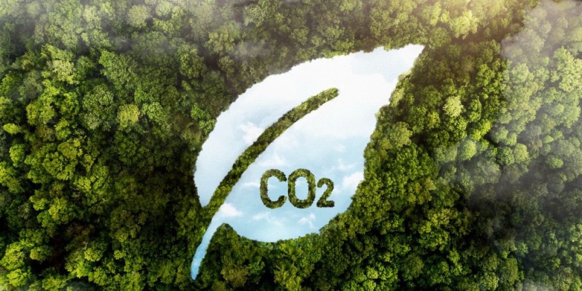 Low Carbon Propulsion Market Analysis: Trends, Innovations, and 2024 Forecast Study
