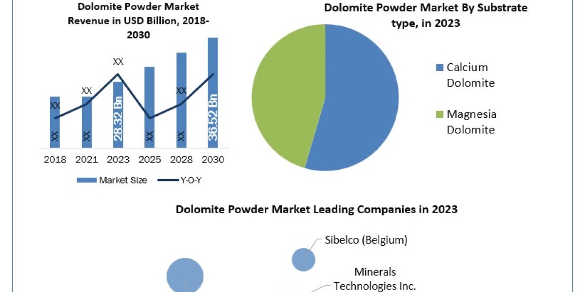Dolomite Powder Market Upcoming Future Growth, Competitive Analysis and Forecast 2030