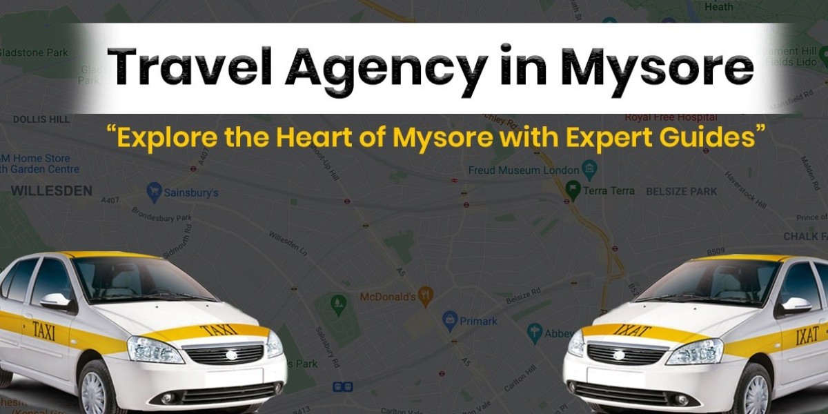 Affordable Travel Packages from Mysore’s Top Agencies