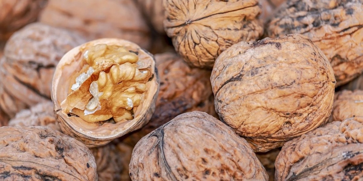 Top Facts and Figures on Bulk Raw Walnut Suppliers You Should Know