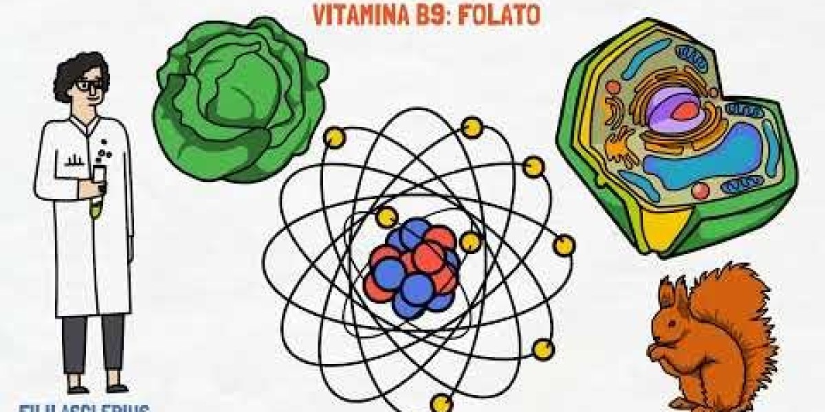 Descubre Cómo el Ácido Fólico Combate Enfermedades y Promueve una Salud Óptima