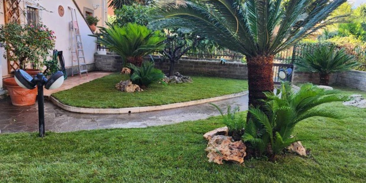 Explore the Vast Selection of Plants at Vivai Federici Nursery in Rome