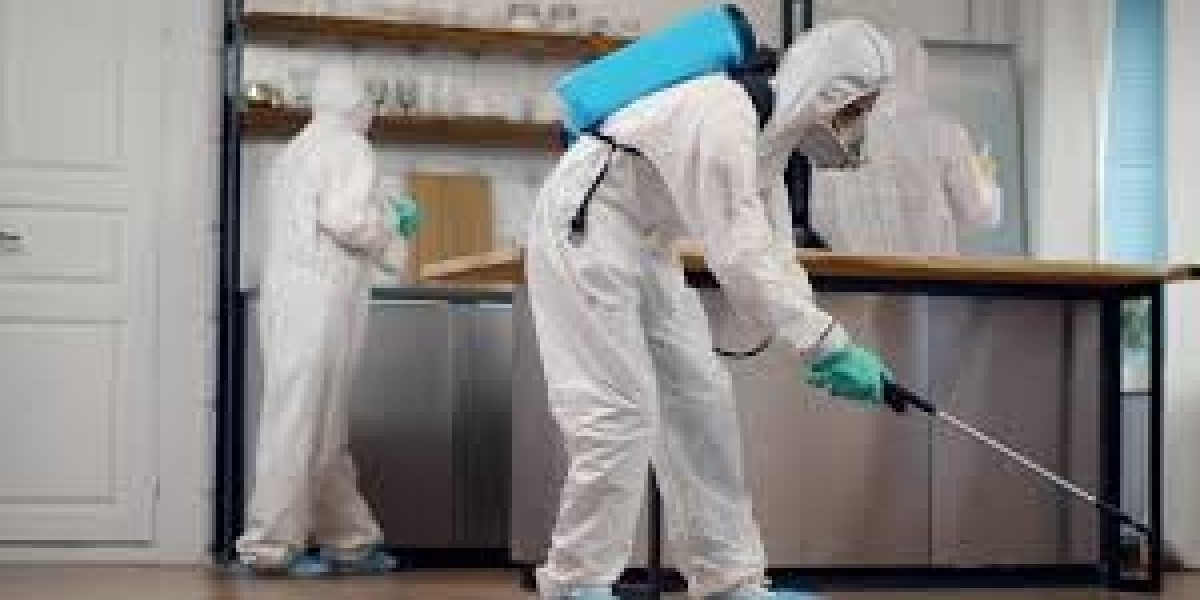 Mice Control Mississauga: Protecting Your Home and Health