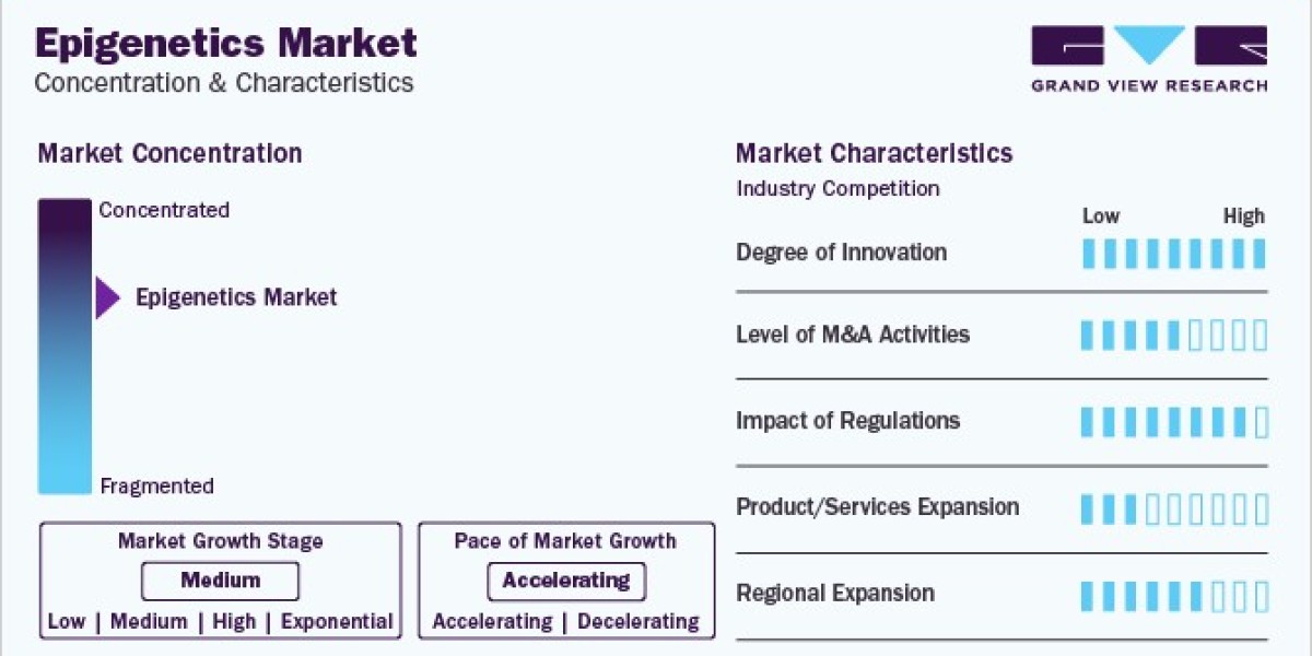 The Role Of Epigenetics In Personalized Medicine Market Implications And Strategies For Success