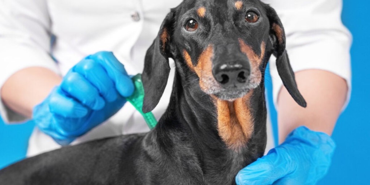 The Global Flea, Tick, and Heartworm Products Market