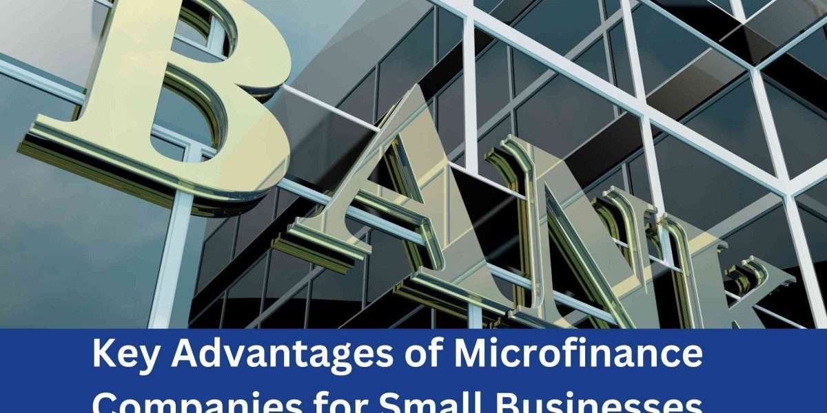 Key Advantages of Microfinance Companies for Small Businesses