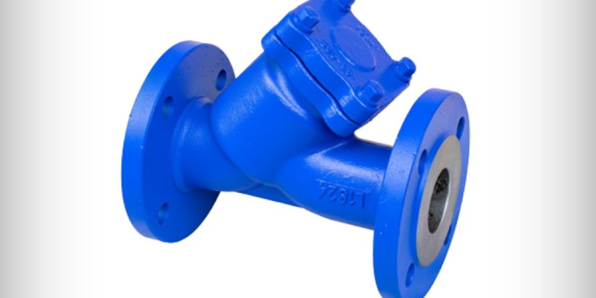 Strainers Valve manufacturer in India
