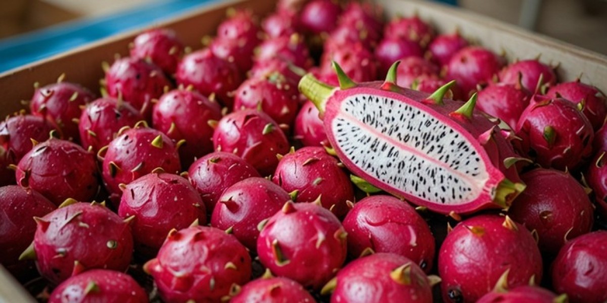 Dragon Fruit Processing Plant Project Report 2024: Unit Setup and Raw Materials