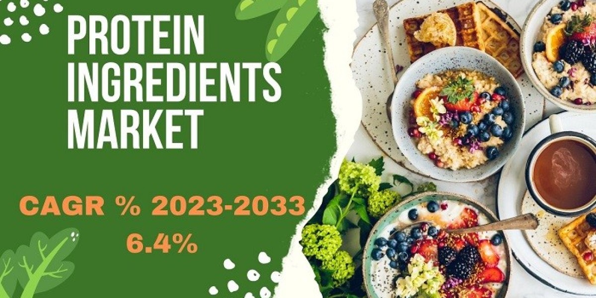 Protein Ingredients Market Share, Size, Analysis, Growth, Industry Statistics and Forecast  2033