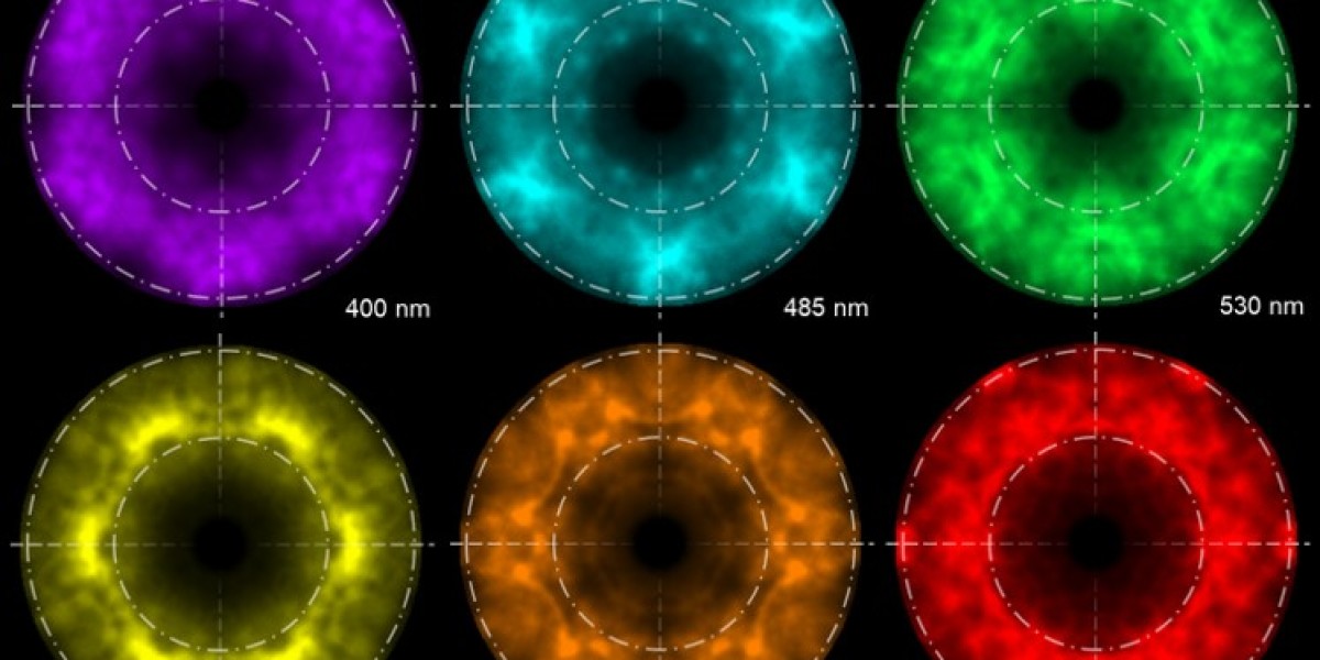 Nanophotonics Market: Opportunities for Energy-Efficient Product Innovation by 2031