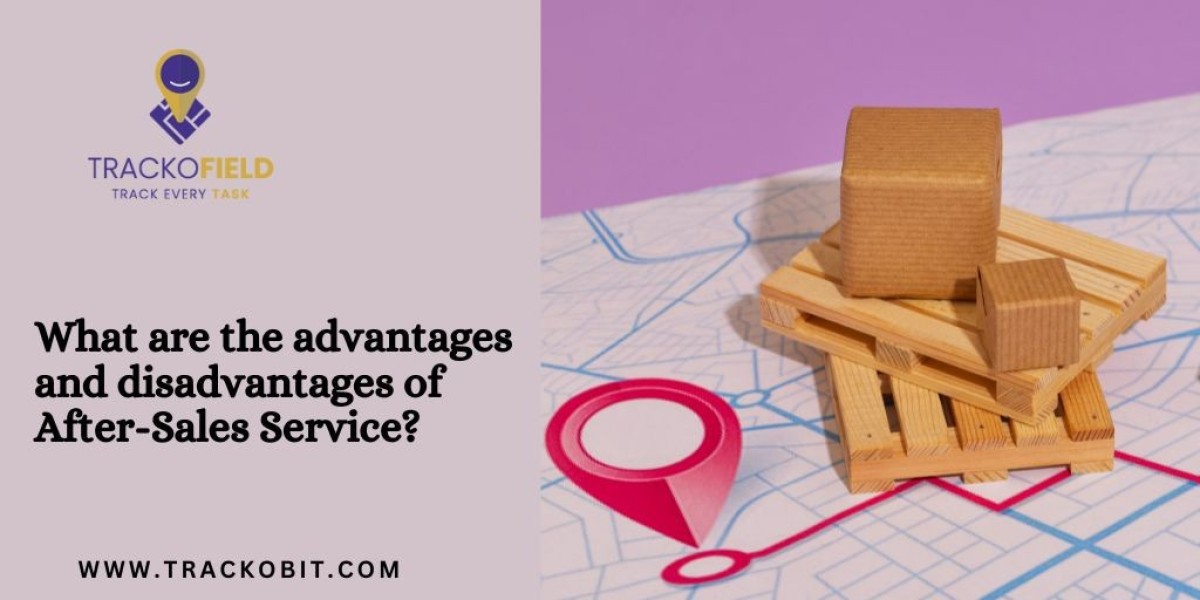 What are the advantages and disadvantages of After-Sales Service?