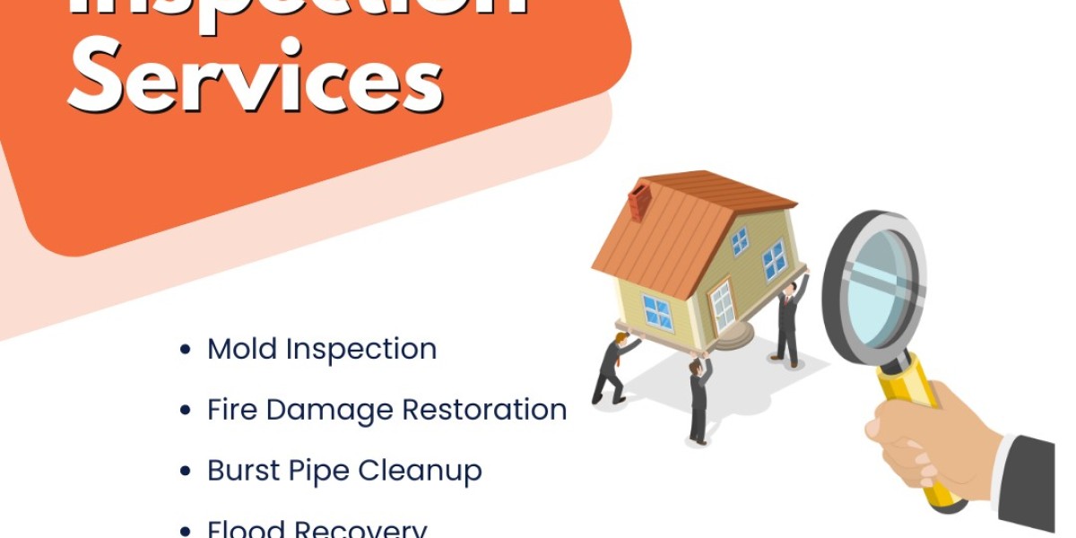 Complete Guide to Get Rid of Mold in Every Corner of Your Home
