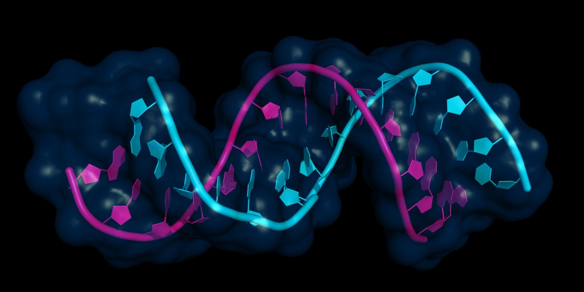 Europe Gene Expression Market Size, Share, Trends, Report 2032