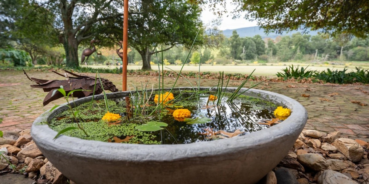 Healing Through Community: The Power of Group Retreats
