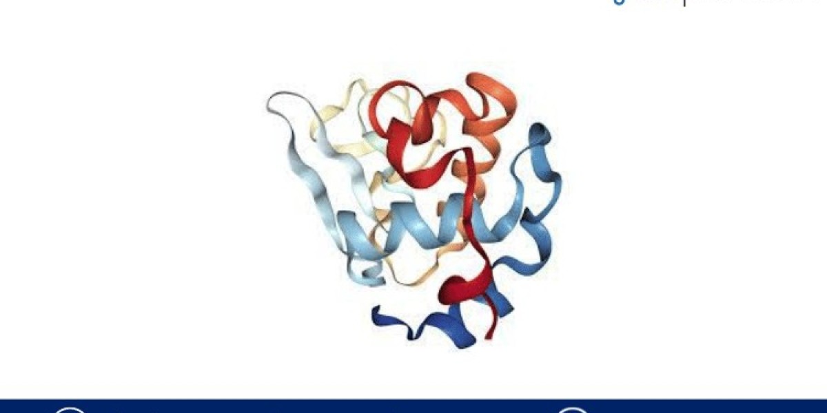 Alpha-lactalbumin Market Size & Growth Forecast - 2032