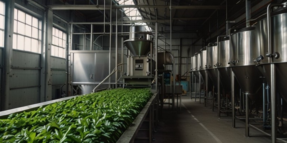 Mint Processing Plant Cost 2024: Industry Trends, Machinery and Raw Materials