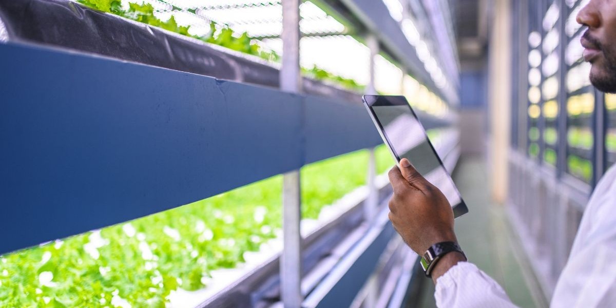 Descubre el Mercado de Tecnología Agrícola: Innovaciones, Tendencias y Cómo Está Revolucionando la Agricultura