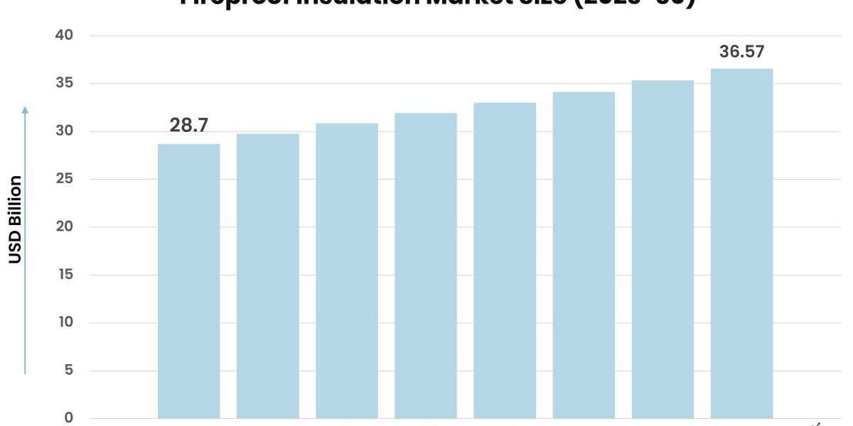 Fireproof Insulation Market Growth: Key Drivers Fueling Expansion in 2024