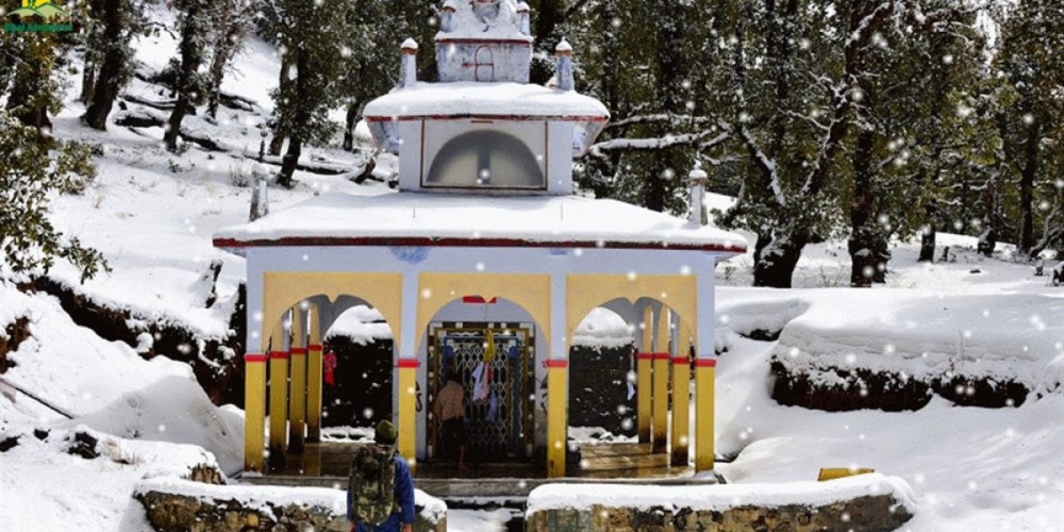 Nag Tibba Trek: A Perfect DIY Guide for Beginners in the Himalayas