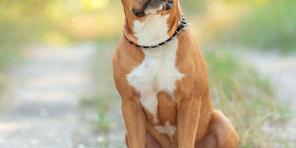 Barak av köpegi