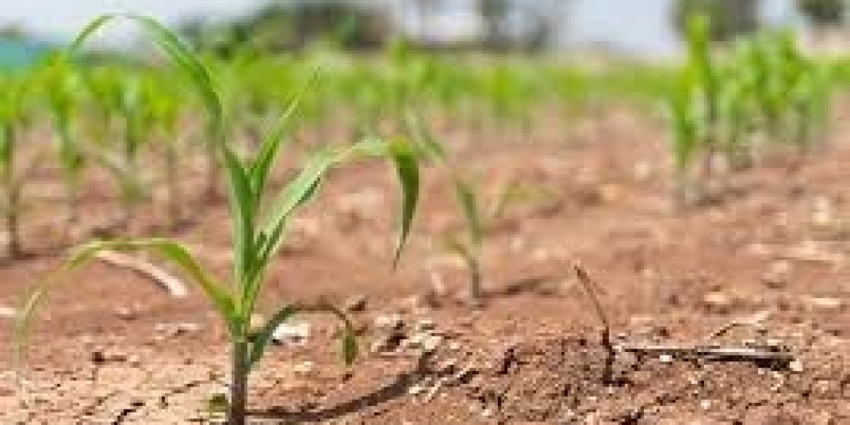 United States Biostimulants Market Size, Share,  Trend, Forecasts to 2033