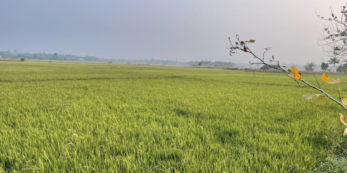 Why Choose a Kerala Farm stay for Your School Trip?