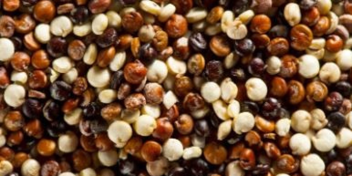 Quinoa Seeds Market Size, Share, Trends & Analysis Report 2024