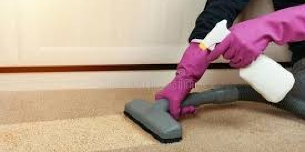 Why Professional Carpet Cleaning is Essential for Vancouver Homes
