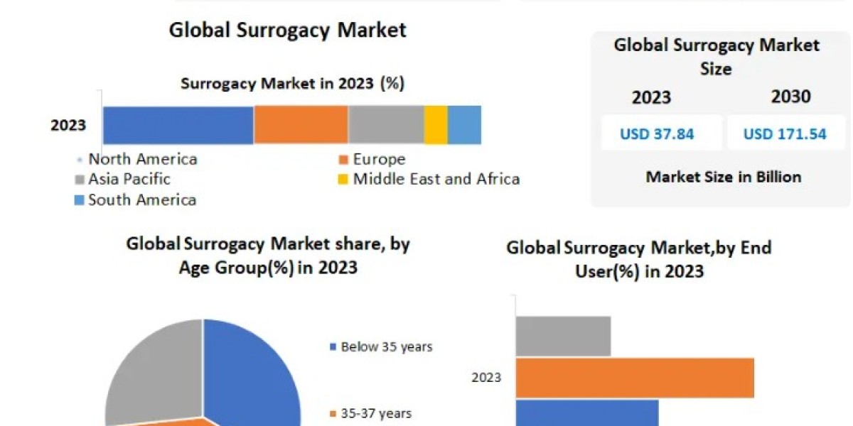 Surrogacy Market Future Growth, Competitive Analysis and Forecast 2030
