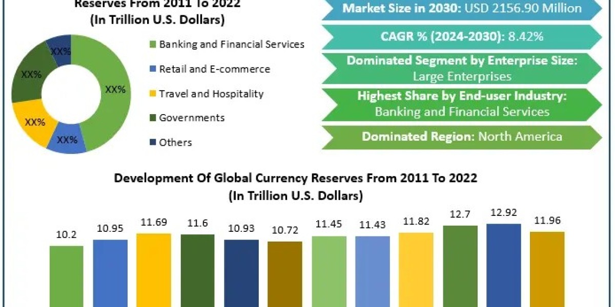 Global Currency Exchange Software Market Business Developing Strategies, Growth Key Factors 2030