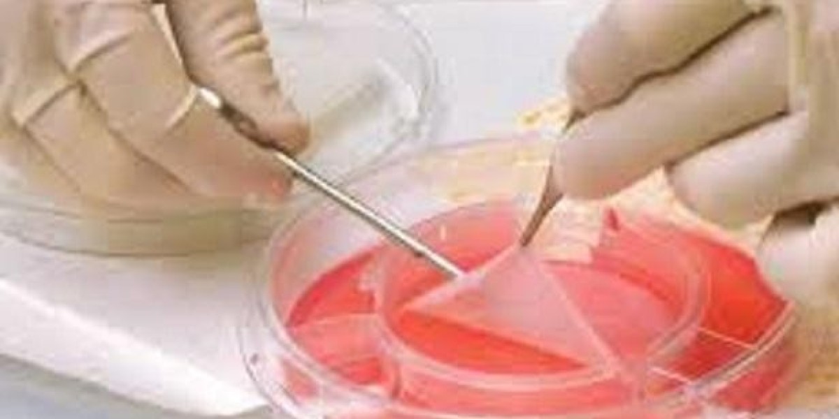 Tissue Engineered Skin Substitute Market Size, Share, Growth Report 2032