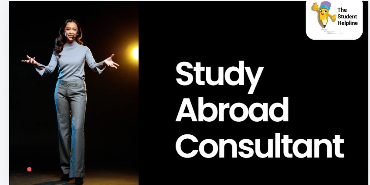 Maximizing Your International Education with the Help of a Study Abroad Consultant