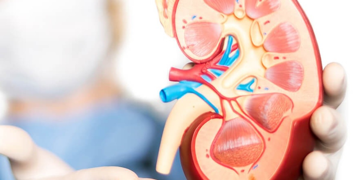 Finding the Best Nephrologist in Mumbai for Kidney Care