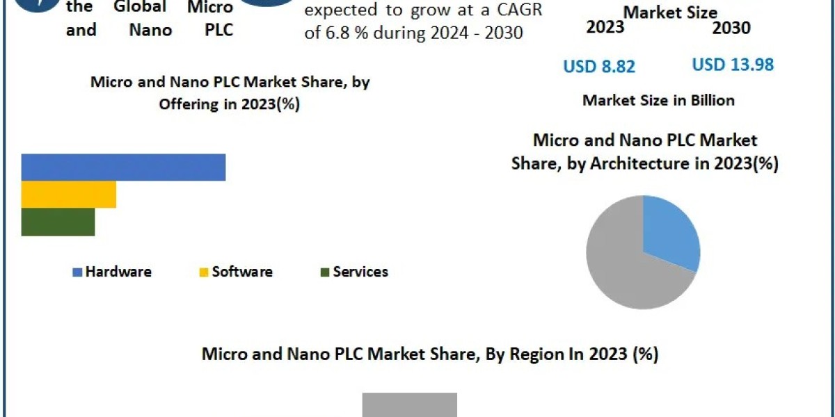 Micro and Nano PLC Market Future Growth, Competitive Analysis and Forecast 2030