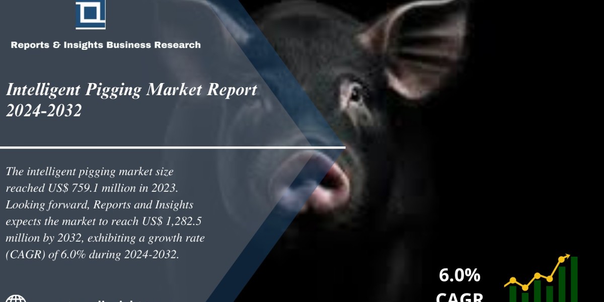 Intelligent Pigging Market 2024 to 2032: Industry Share, Trends, Share, Size, Growth and Leading Players