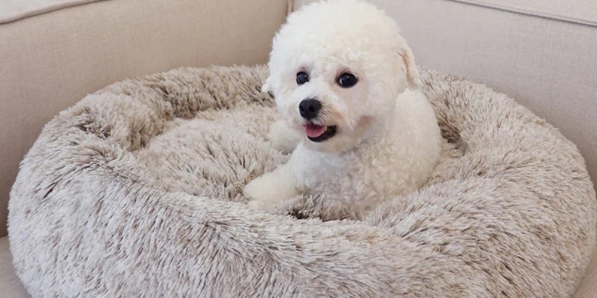 How to Choose and Use a Dog Claw Trimmer