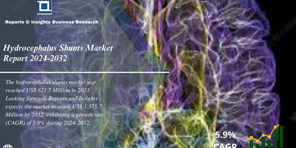 Hydrocephalus Shunts Market Report 2024 to 2032: Industry Growth, Trends, Share, Size and Forecast