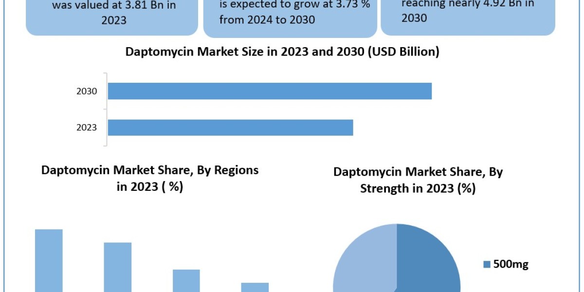 Daptomycin Market Statistical Spectrum: Exploring Segmentation, Outlook, and Market Trends | 2024-2030