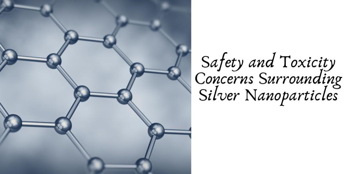 Safety and Toxicity Concerns Surrounding Silver Nanoparticles