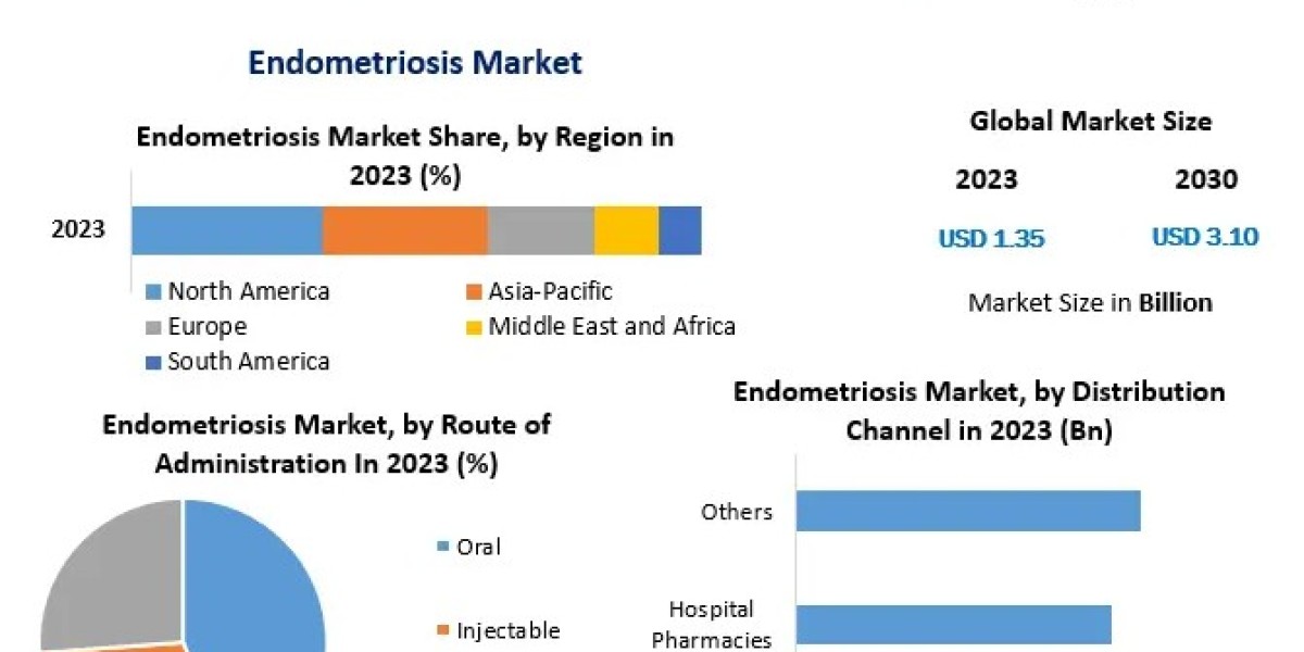 Endometriosis Market Size  by Top Countries Data, Industry Analysis by Regions 2030